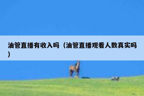 油管直播有收入吗（油管直播观看人数真实吗） 第1张