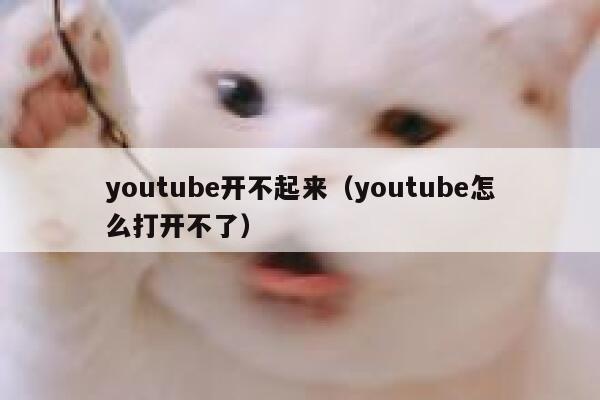 youtube开不起来（youtube怎么打开不了） 第1张