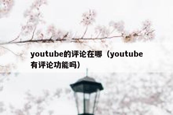 youtube的评论在哪（youtube有评论功能吗） 第1张