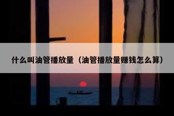 什么叫油管播放量（油管播放量赚钱怎么算） 第1张