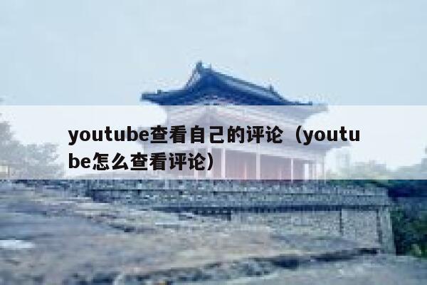 youtube查看自己的评论（youtube怎么查看评论） 第1张