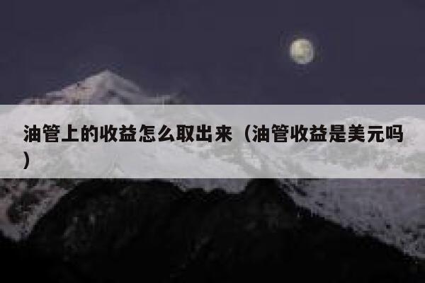 油管上的收益怎么取出来(油管收益是美元吗) 第1张 油管上的收益怎么取出来(油管收益是美元吗) 第1张