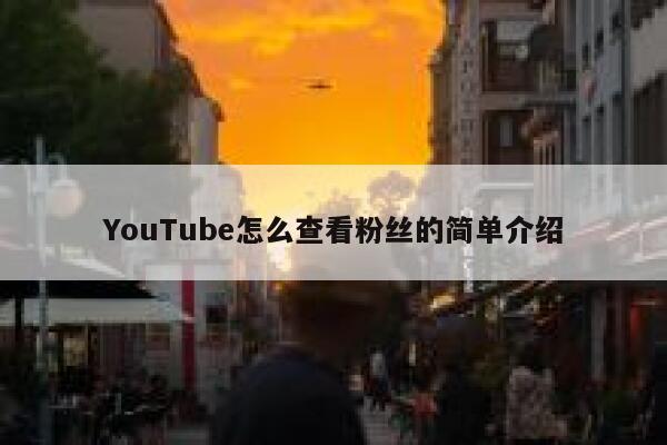 YouTube怎么查看粉丝的简单介绍 第1张
