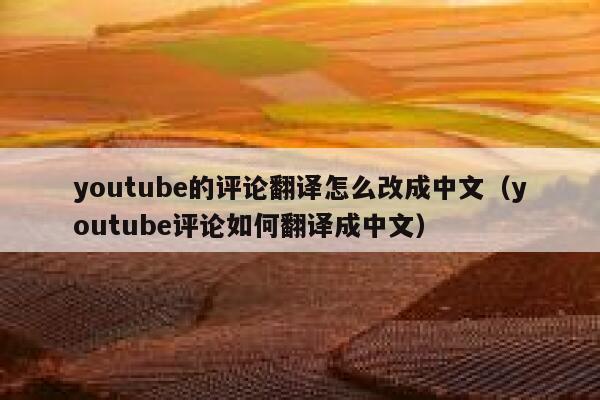 youtube的评论翻译怎么改成中文(youtube评论如何翻译成中文) 第1张 youtube的评论翻译怎么改成中文(youtube评论如何翻译成中文) 第1张