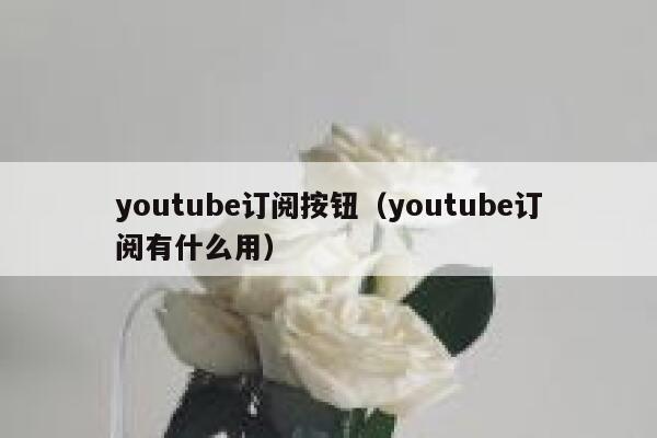 youtube订阅按钮（youtube订阅有什么用） 第1张