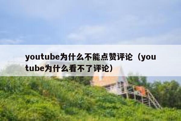 youtube为什么不能点赞评论（youtube为什么看不了评论） 第1张