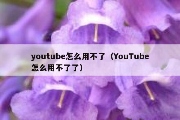 youtube怎么用不了（YouTube怎么用不了了） 第1张