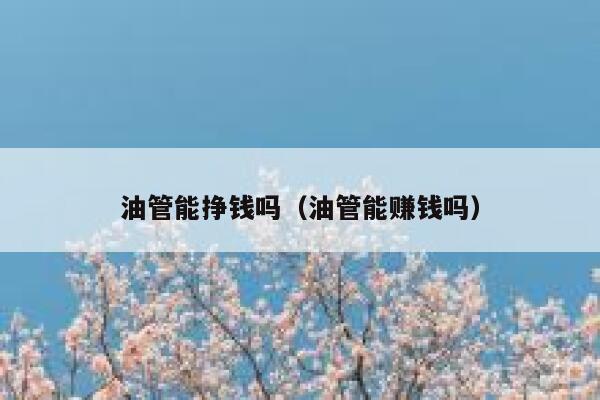 油管能挣钱吗(油管能赚钱吗) 第1张 油管能挣钱吗(油管能赚钱吗) 第1张