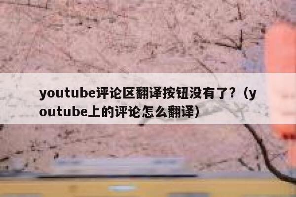 youtube评论区翻译按钮没有了?（youtube上的评论怎么翻译） 第1张
