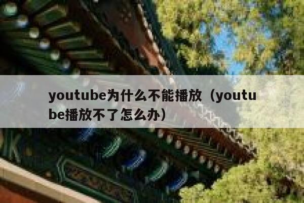 youtube为什么不能播放（youtube播放不了怎么办） 第1张
