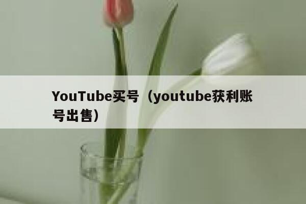 YouTube买号(youtube获利账号出售) 第1张 YouTube买号(youtube获利账号出售) 第1张