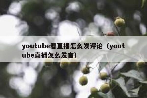 youtube看直播怎么发评论（youtube直播怎么发言） 第1张