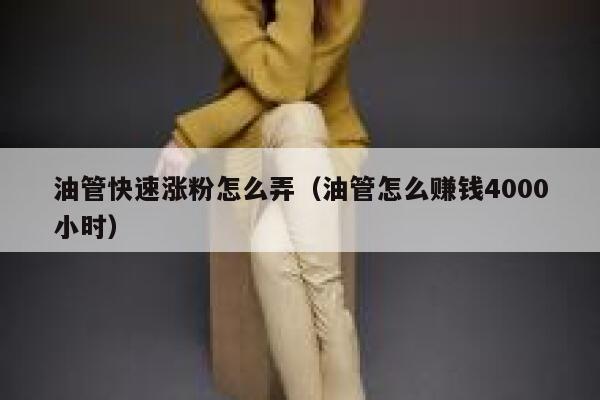 油管快速涨粉怎么弄（油管怎么赚钱4000小时） 第1张