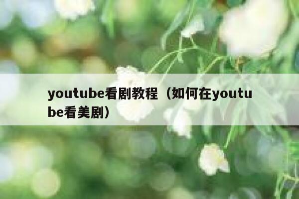 youtube看剧教程（如何在youtube看美剧） 第1张