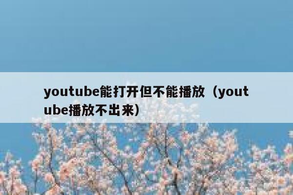 youtube能打开但不能播放（youtube播放不出来） 第1张