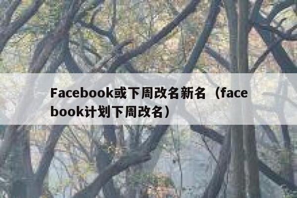 Facebook或下周改名新名（facebook计划下周改名） 第1张