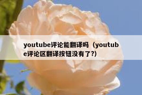 youtube评论能翻译吗(youtube评论区翻译按钮没有了?) 第1张 youtube评论能翻译吗(youtube评论区翻译按钮没有了?) 第1张