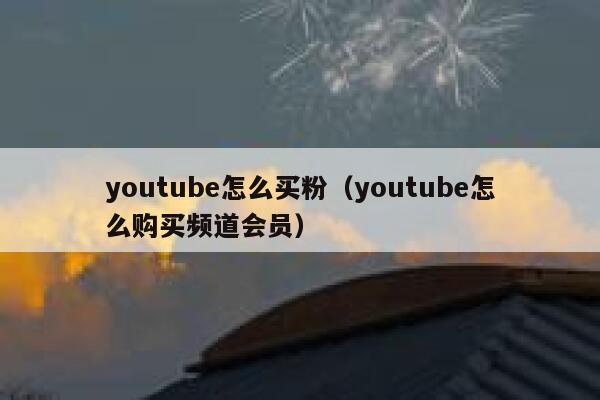 youtube怎么买粉（youtube怎么购买频道会员） 第1张