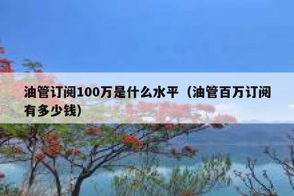 油管订阅100万是什么水平（油管百万订阅有多少钱） 第1张