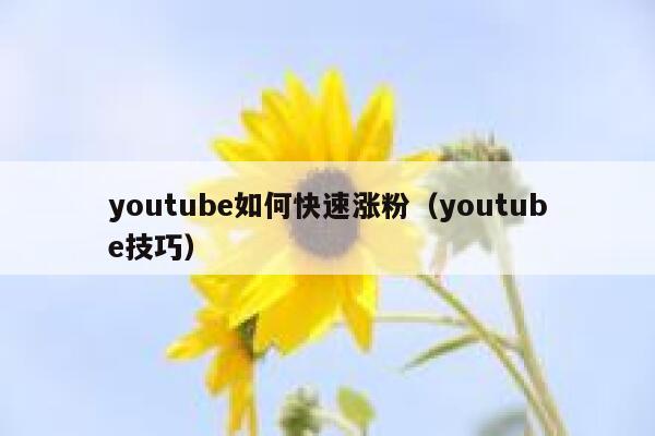 youtube如何快速涨粉（youtube技巧） 第1张
