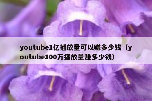 youtube1亿播放量可以赚多少钱（youtube100万播放量赚多少钱） 第1张