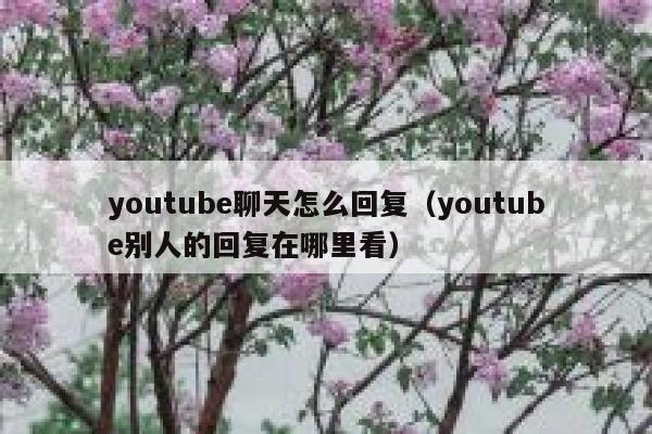 youtube聊天怎么回复（youtube别人的回复在哪里看） 第1张