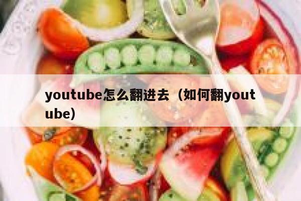 youtube怎么翻进去（如何翻youtube） 第1张