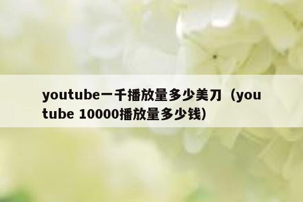youtube一千播放量多少美刀（youtube 10000播放量多少钱） 第1张