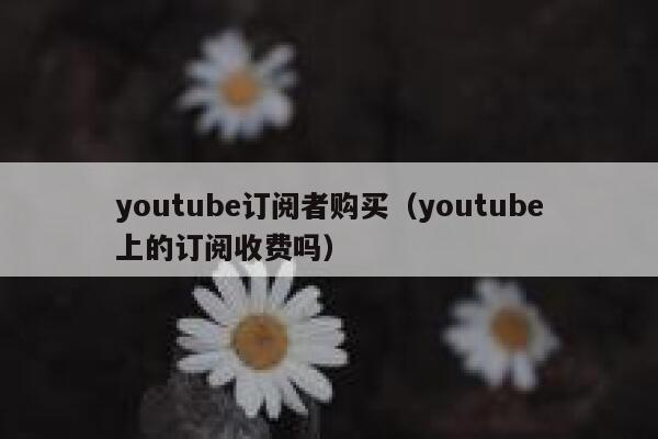 youtube订阅者购买(youtube上的订阅收费吗) 第1张 youtube订阅者购买(youtube上的订阅收费吗) 第1张