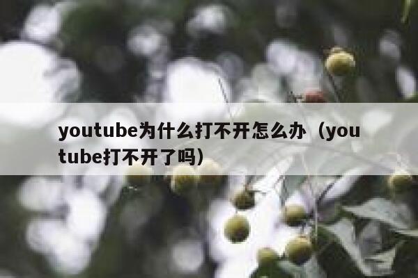 youtube为什么打不开怎么办(youtube打不开了吗) 第1张 youtube为什么打不开怎么办(youtube打不开了吗) 第1张