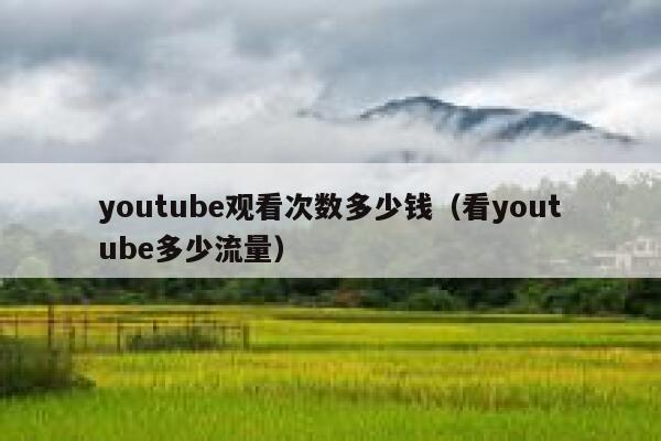 youtube观看次数多少钱(看youtube多少流量) 第1张 youtube观看次数多少钱(看youtube多少流量) 第1张