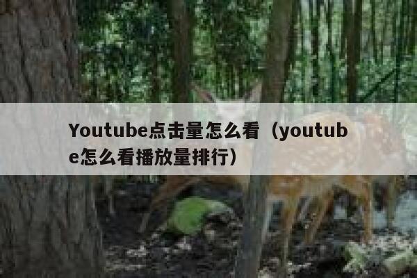 Youtube点击量怎么看（youtube怎么看播放量排行） 第1张