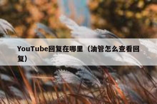 YouTube回复在哪里(油管怎么查看回复) 第1张 YouTube回复在哪里(油管怎么查看回复) 第1张
