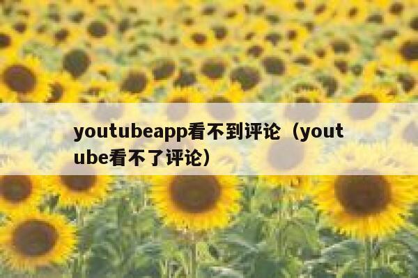 youtubeapp看不到评论（youtube看不了评论） 第1张