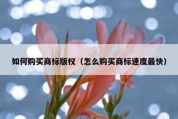 如何购买商标版权（怎么购买商标速度最快） 第1张