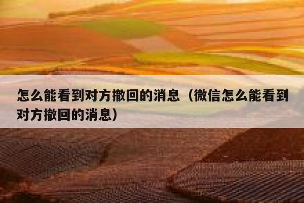 怎么能看到对方撤回的消息(微信怎么能看到对方撤回的消息) 第1张 怎么能看到对方撤回的消息(微信怎么能看到对方撤回的消息) 第1张