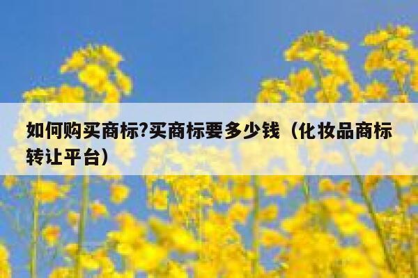 如何购买商标?买商标要多少钱(化妆品商标转让平台) 第1张 如何购买商标?买商标要多少钱(化妆品商标转让平台) 第1张