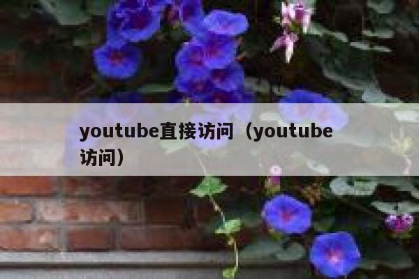 youtube直接访问（youtube 访问） 第1张