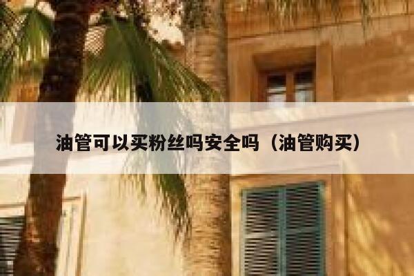 油管可以买粉丝吗安全吗(油管购买) 第1张 油管可以买粉丝吗安全吗(油管购买) 第1张