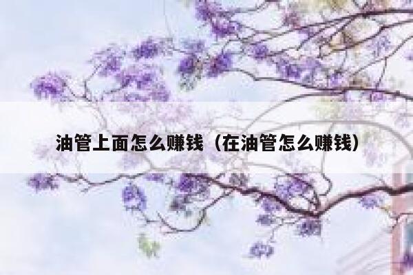 油管上面怎么赚钱(在油管怎么赚钱) 第1张 油管上面怎么赚钱(在油管怎么赚钱) 第1张