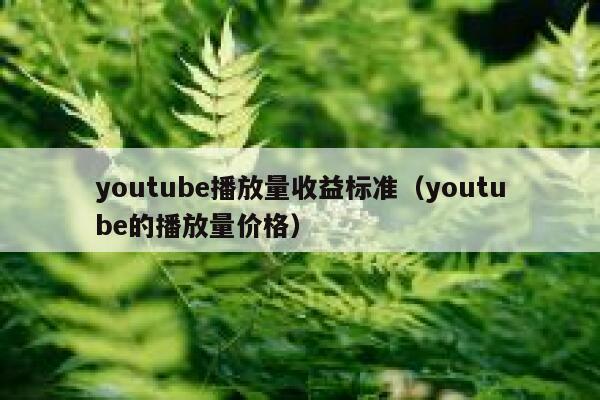 youtube播放量收益标准（youtube的播放量价格） 第1张