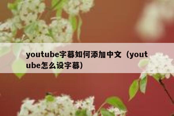youtube字幕如何添加中文(youtube怎么设字幕) 第1张 youtube字幕如何添加中文(youtube怎么设字幕) 第1张