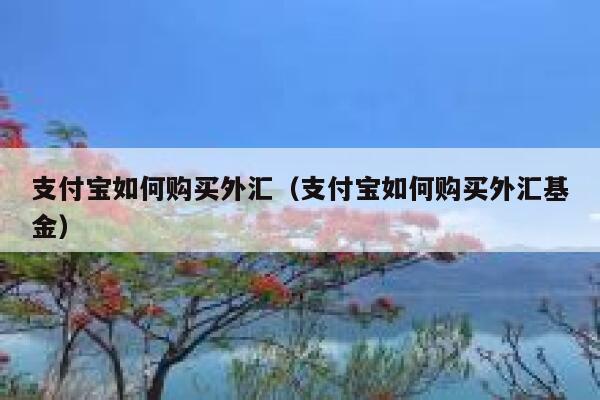 支付宝如何购买外汇（支付宝如何购买外汇基金） 第1张