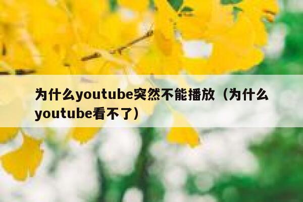 为什么youtube突然不能播放(为什么youtube看不了) 第1张 为什么youtube突然不能播放(为什么youtube看不了) 第1张