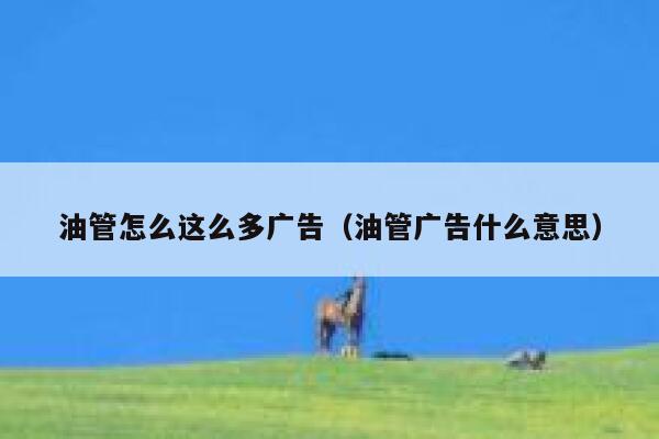 油管怎么这么多广告（油管广告什么意思） 第1张
