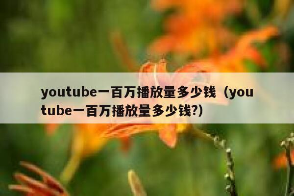 youtube一百万播放量多少钱（youtube一百万播放量多少钱?） 第1张
