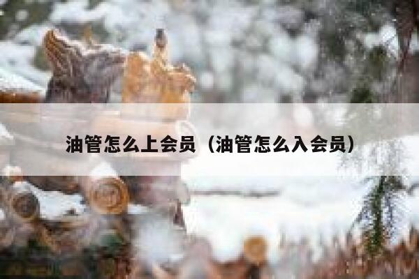 油管怎么上会员（油管怎么入会员） 第1张