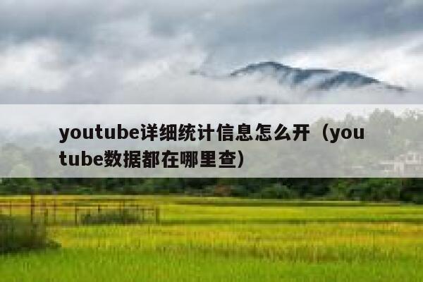 youtube详细统计信息怎么开（youtube数据都在哪里查） 第1张