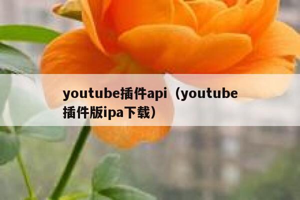 youtube插件api(youtube插件版ipa下载) 第1张 youtube插件api(youtube插件版ipa下载) 第1张