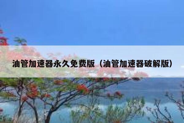 油管加速器永久免费版（油管加速器破解版） 第1张